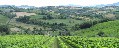 la_casa_del_barone_casa_vacanze_reggio_emilia_16strada_dei_vini